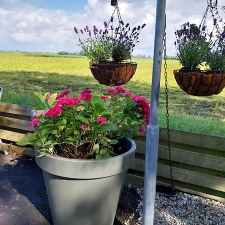 公寓 Vakantiewoning