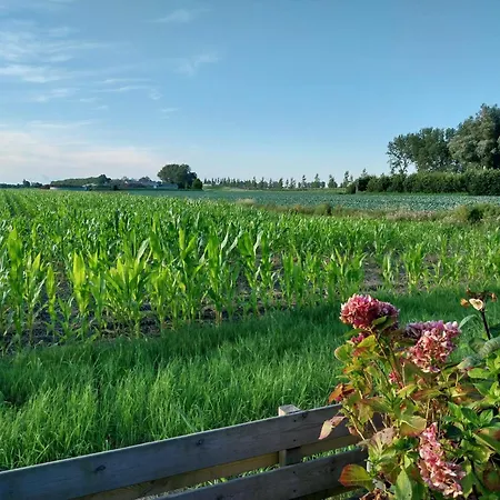 Vakantiewoning Apartmán Hem